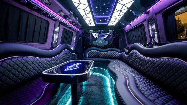 bellevue sprinter limo rental interior