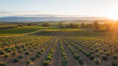 green bluff growers