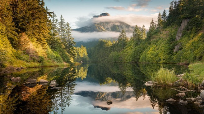 olympic national park