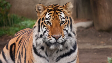 oregon zoo